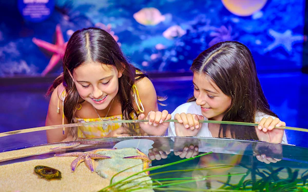 SEA LIFE Melbourne Aquarium Tickets
