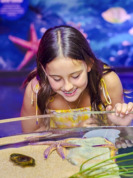 Children observing starfish at Sea Life Melbourne aquarium.