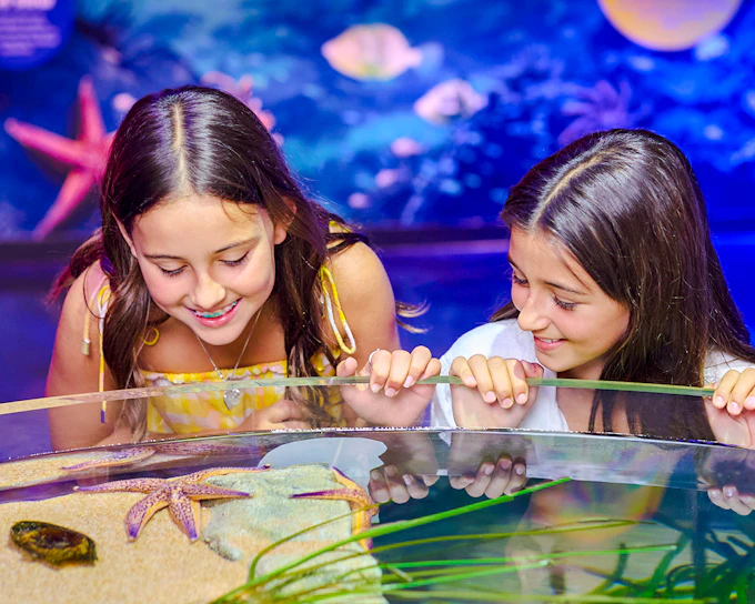 SEA LIFE Melbourne Aquarium Tickets