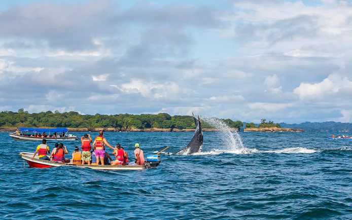 Whale tail splashing near boats on Terceira Island tour.