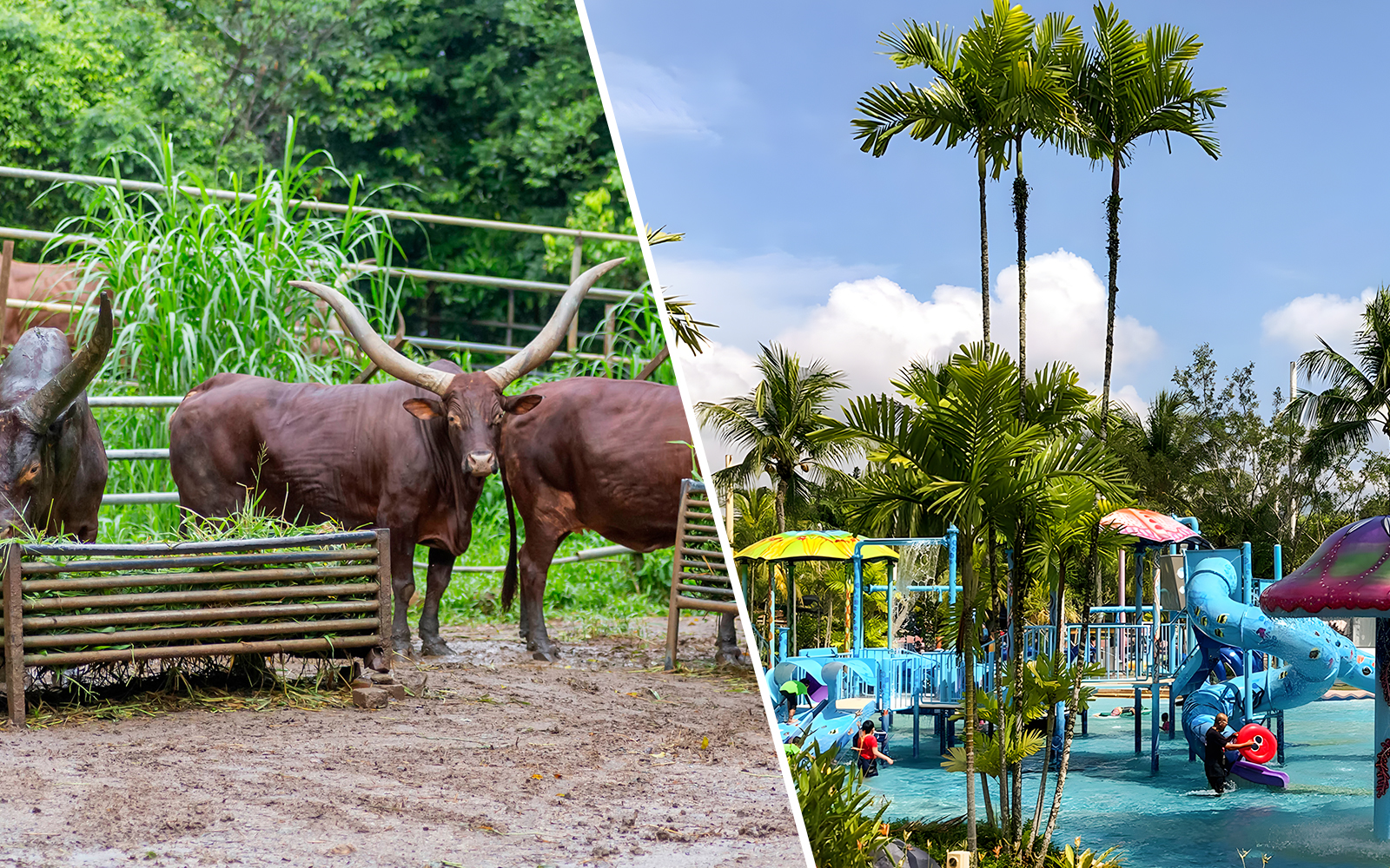 Combo (Save 15%): Zoo Melaka + A'Famosa Melaka Water Park or Safari Wonderland Tickets