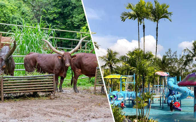 A'Famosa Melaka wildlife with cattle and Zoo Melaka water park with slides.