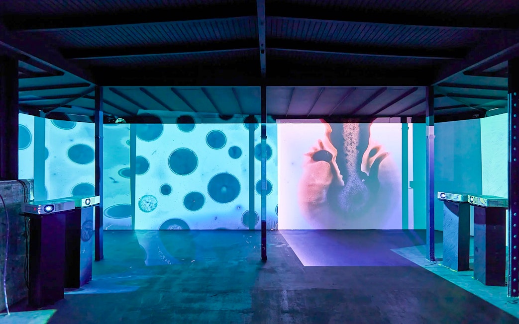 Interactive light projection exhibit at Light Art Museum.