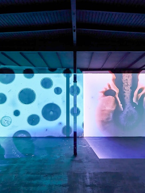Interactive light projection exhibit at Light Art Museum.