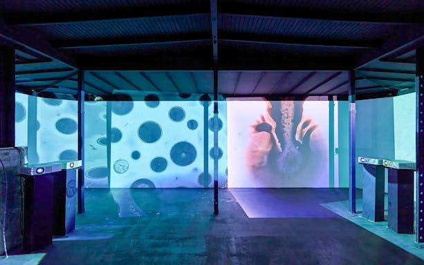 Interactive light projection exhibit at Light Art Museum.