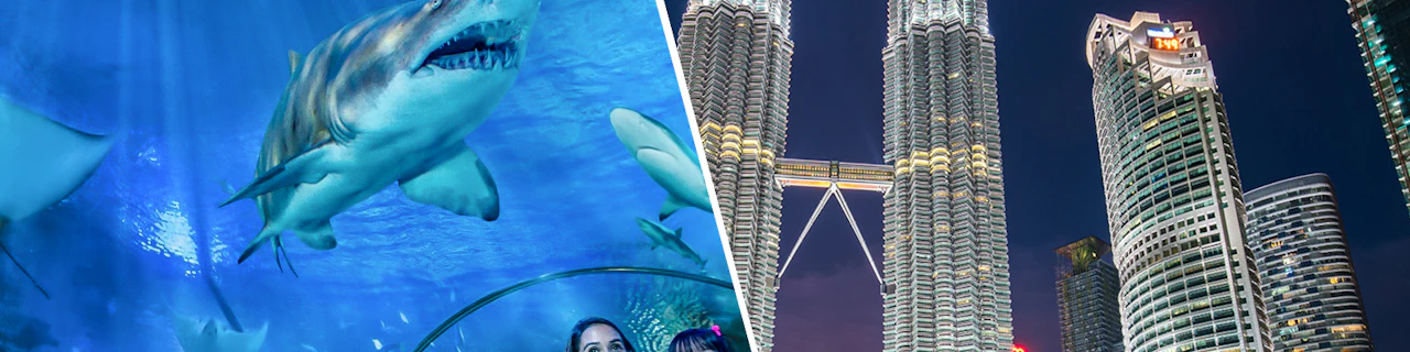 Combo: Biglietti per l'Aquaria KLCC + Petrosains Discovery Centre