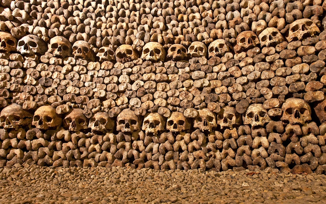 Skulls and bones arranged in the Catacombs of Paris.