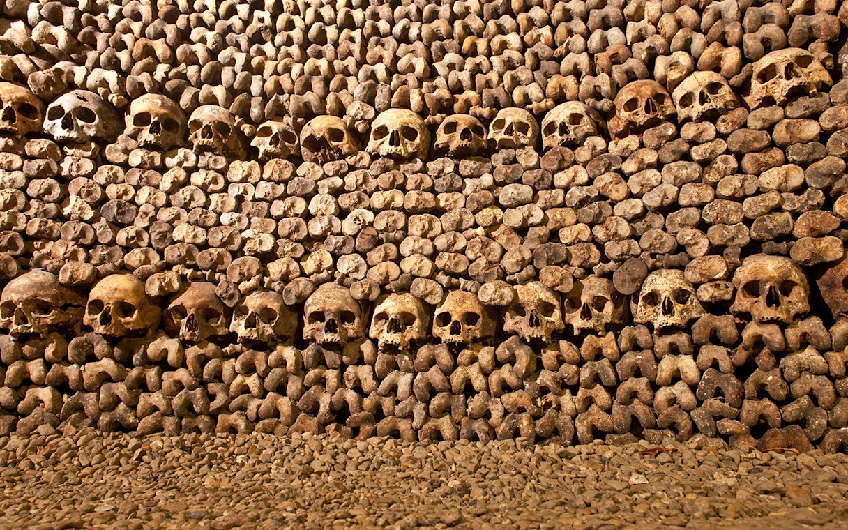 Skulls and bones arranged in the Catacombs of Paris.