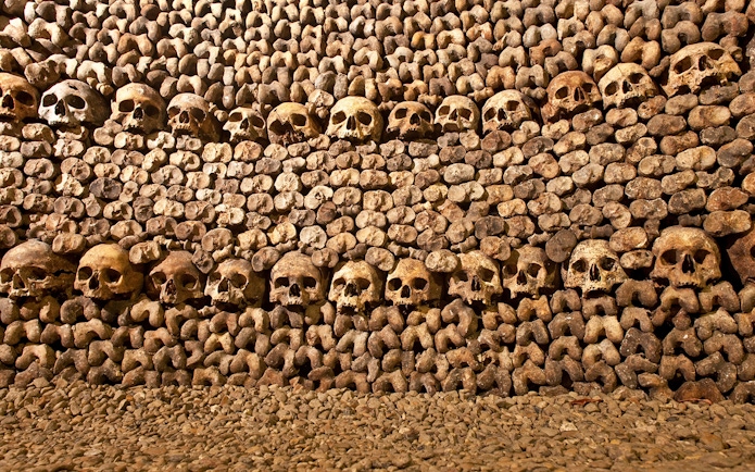 Skulls and bones arranged in the Catacombs of Paris.