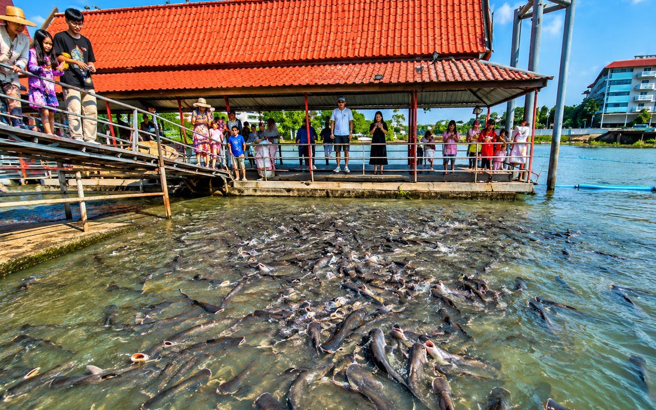 bangkok: ayutthaya temples, thai traditions & local life-5