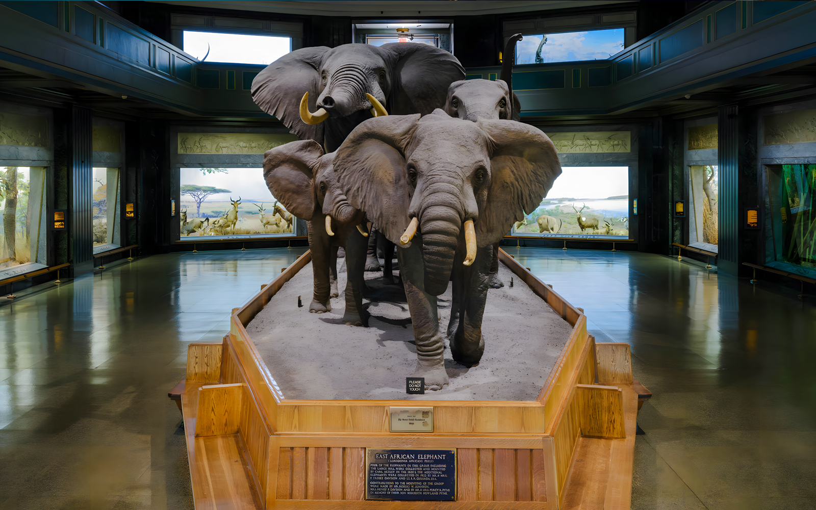 Mammal Halls exhibit showcasing diverse mammal species in a natural history museum setting.