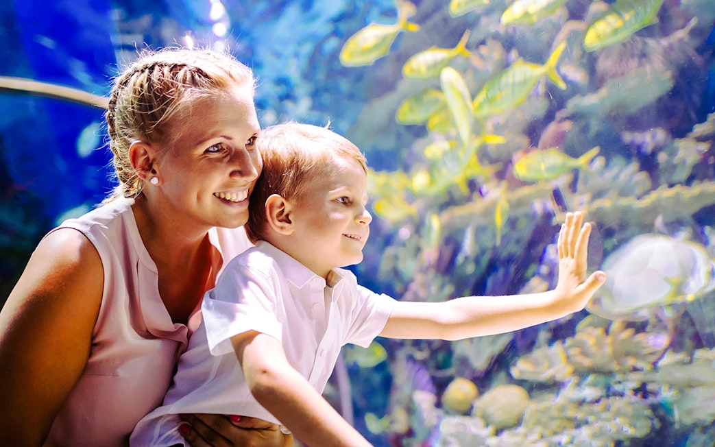 Mother and son observing fish in an oceanarium.