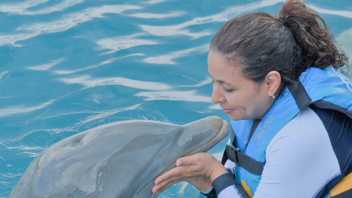 Dolphinarium Pattaya