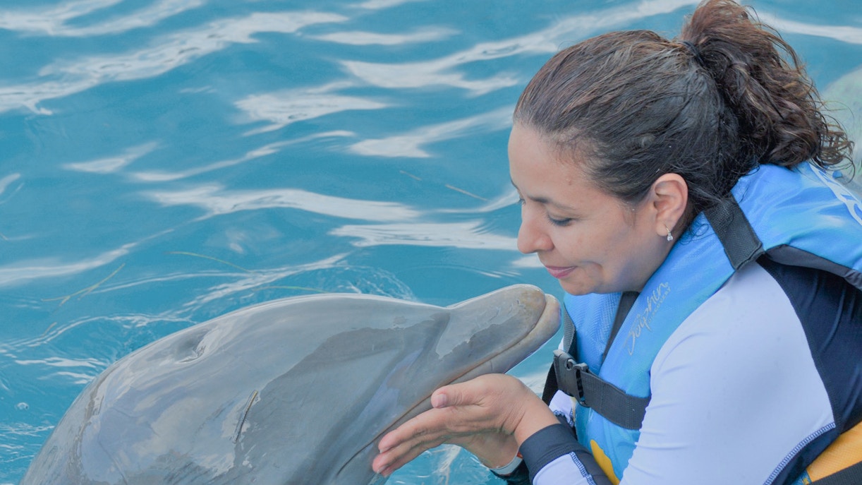 Dolphinarium Pattaya