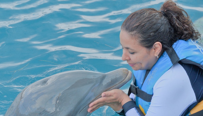 Highlights of Constanta Dolphinarium