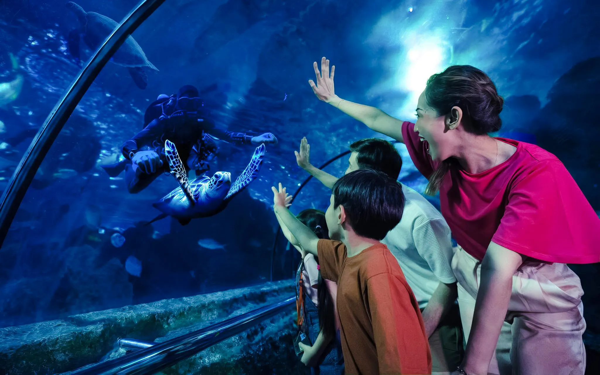 Family observing a turtle with a diver at Sea World Ancol.