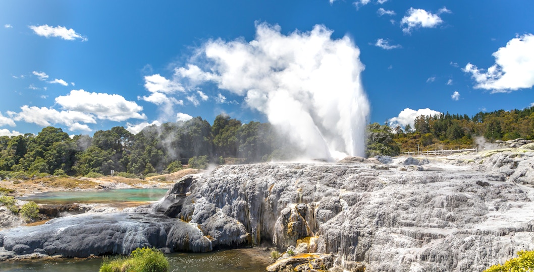 Te Puia rotorua