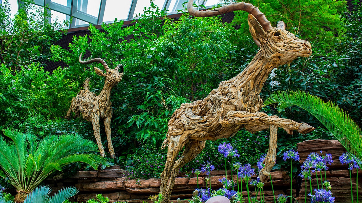 About Floral Fantasy Singapore