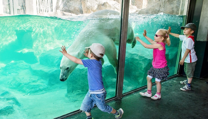 Vienna Zoo working hours