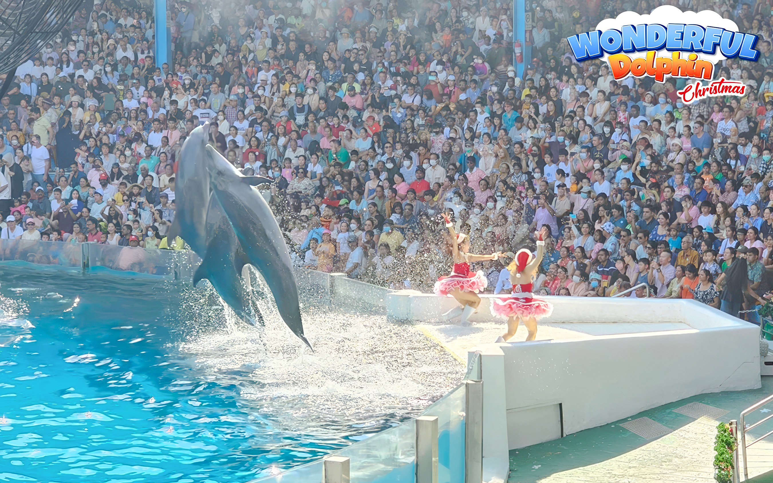 Dolphin jumping at Marine Park show with audience in background.