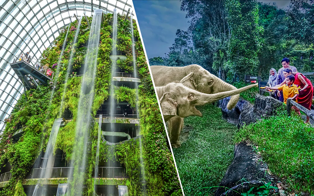 Gardens by the Bay waterfall and elephants at Singapore Zoo night safari.