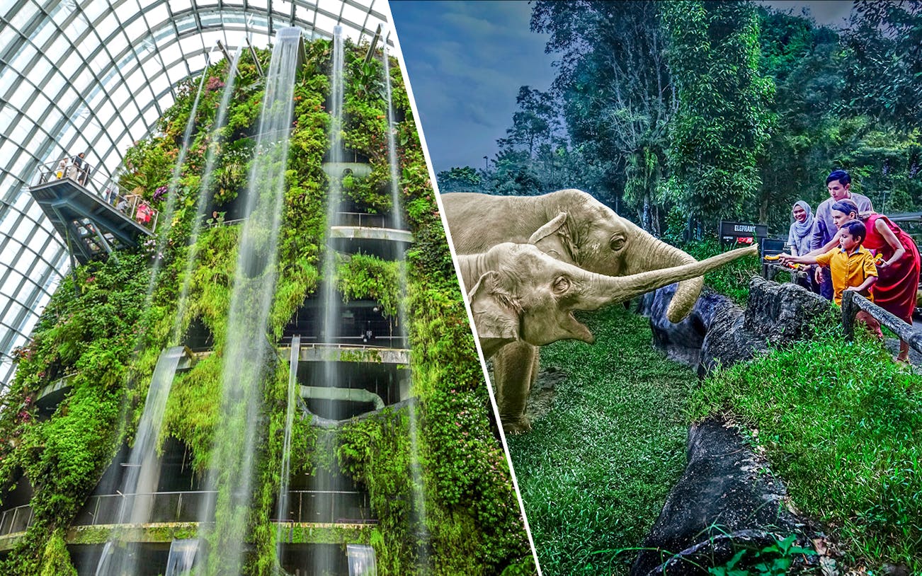 Gardens by the Bay waterfall and elephants at Singapore Zoo night safari.