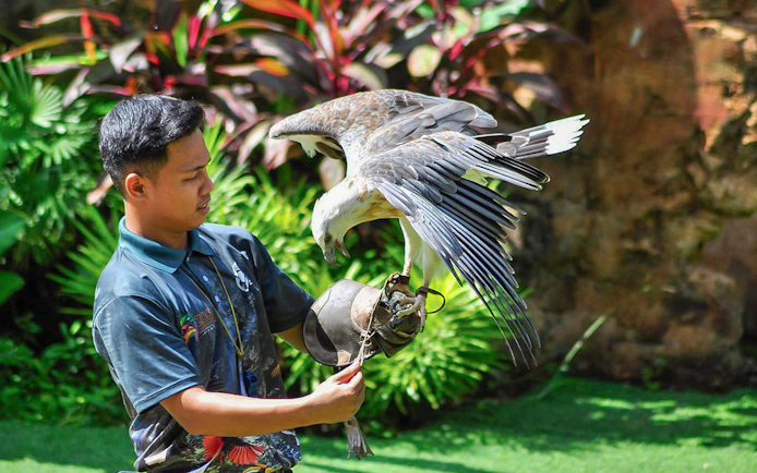 Handler with eagle at Zoo Melaka, part of Combo: Zoo Melaka + Menara Taming Sari Tickets.