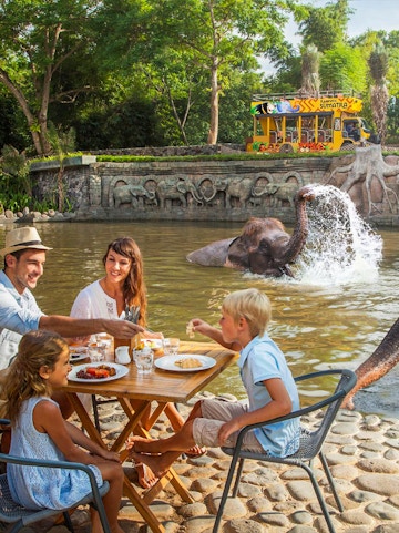 Family dining near elephants at Bali Zoo, Indonesia.