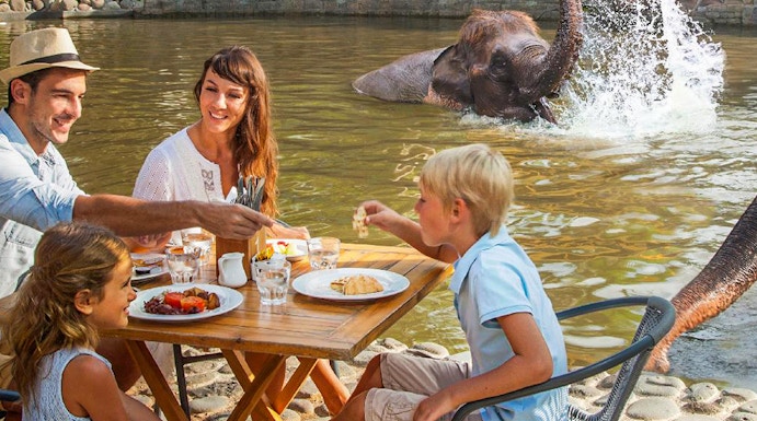 Family dining near elephants at Bali Zoo, Indonesia.