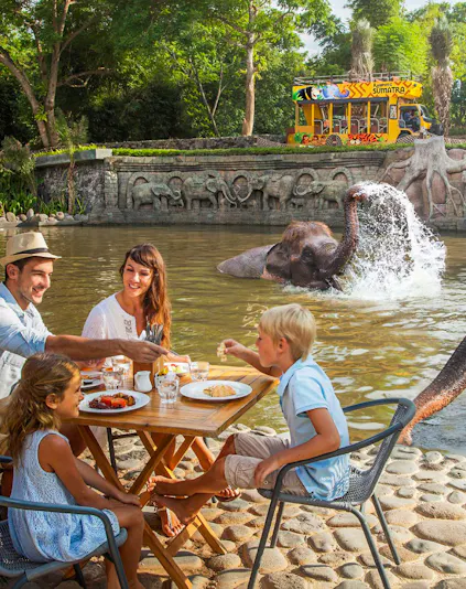 Family dining near elephants at Bali Zoo, Indonesia.