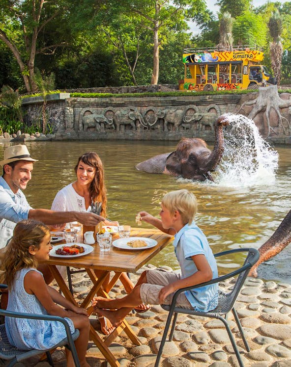 Family dining near elephants at Bali Zoo, Indonesia.