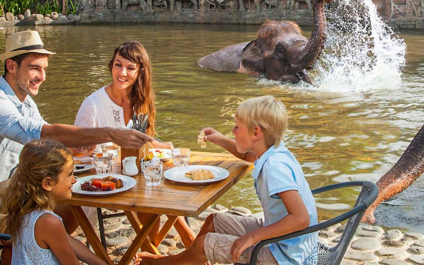 Family dining near elephants at Bali Zoo, Indonesia.