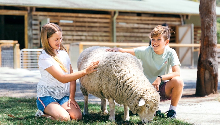 Kids petting a sheep at Paradise Country's Farmyard