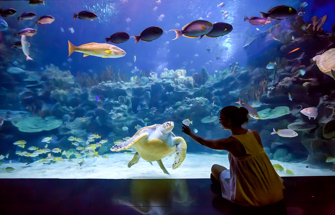 tickets to Zoo aquarium Madrid