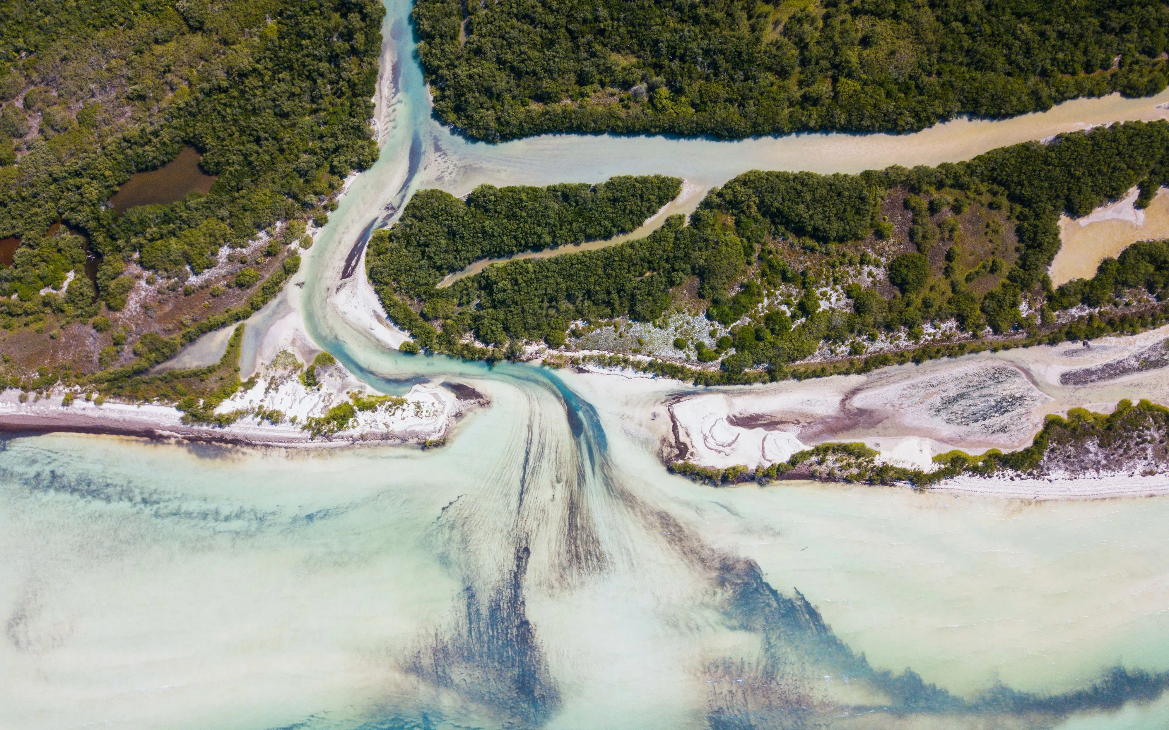 Aerial view of Mosquito Point's coastline and mangroves in Holbox, Mexico.