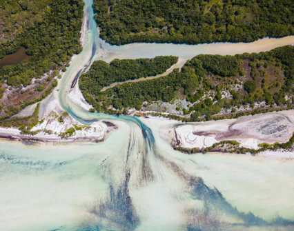 Aerial view of Mosquito Point's coastline and mangroves in Holbox, Mexico.