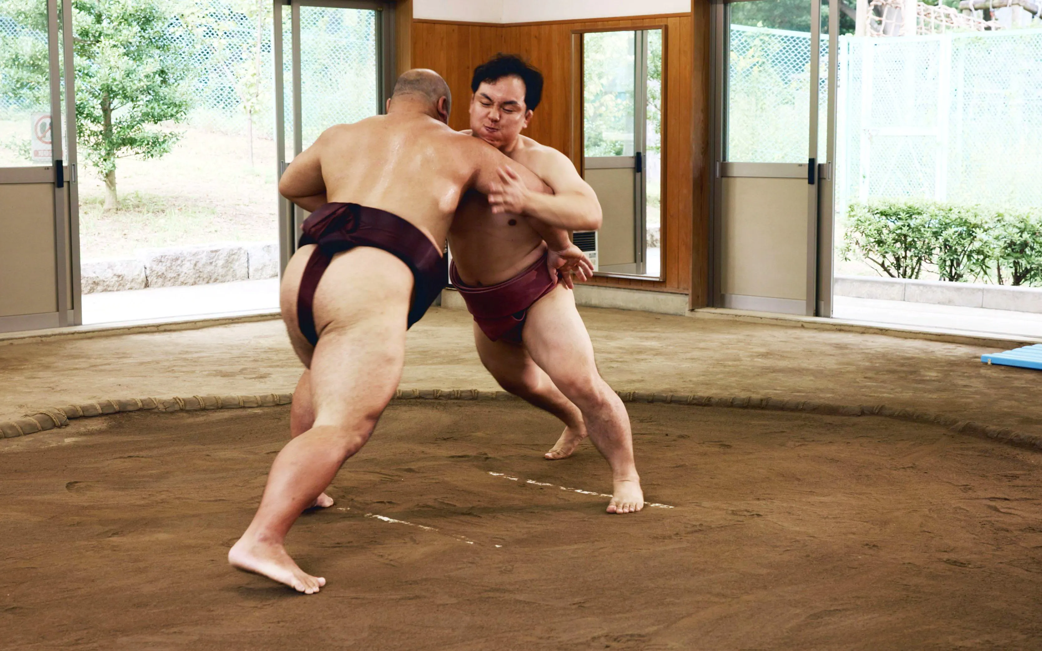 Sumo wrestlers grappling in a dohyo ring during a traditional match in Japan.