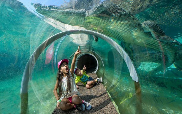 Children in a clear tunnel observe a crocodile swimming above at Miami zoo.