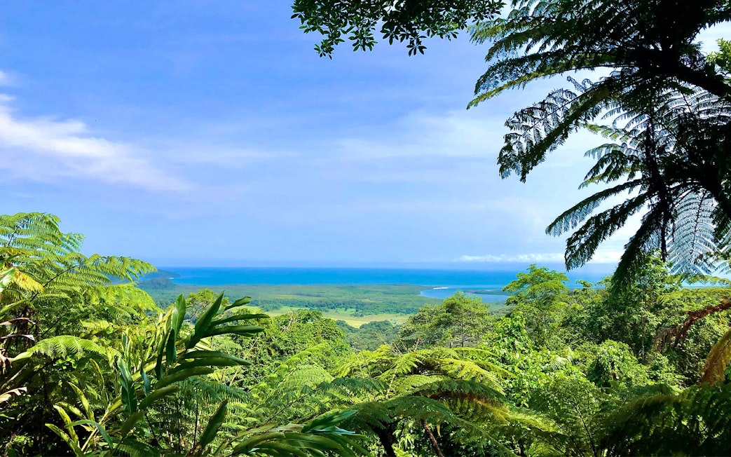 Cape Tribulation rainforest view with ocean in the distance, part of a day tour.