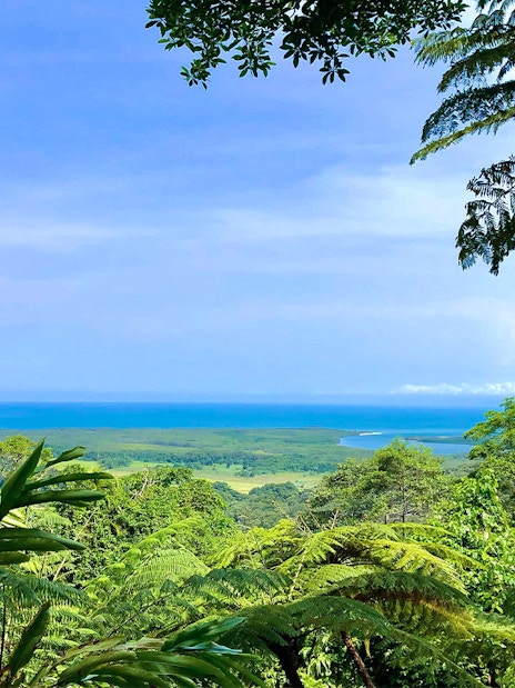 Cape Tribulation rainforest view with ocean in the distance, part of a day tour.