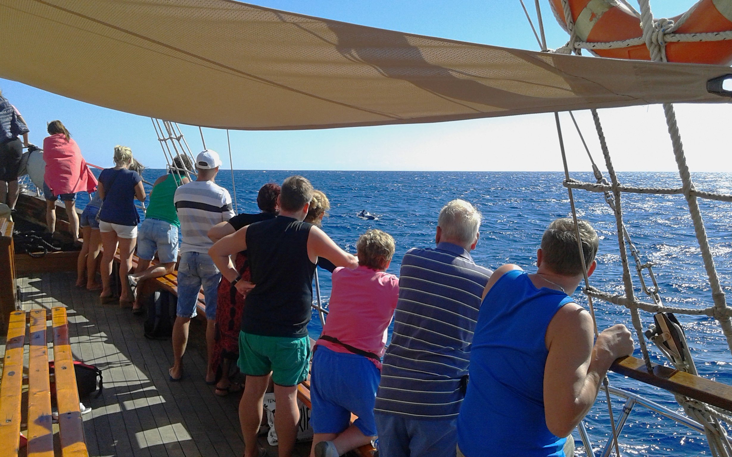 Tourists on Peter Pan Pirate boat watching dolphins in Tenerife.