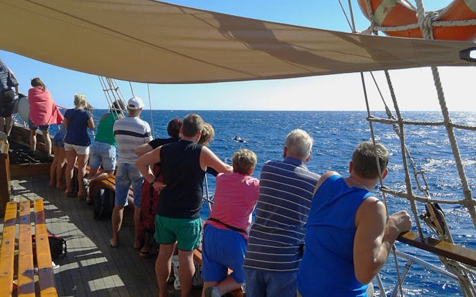 Tourists on Peter Pan Pirate boat watching dolphins in Tenerife.