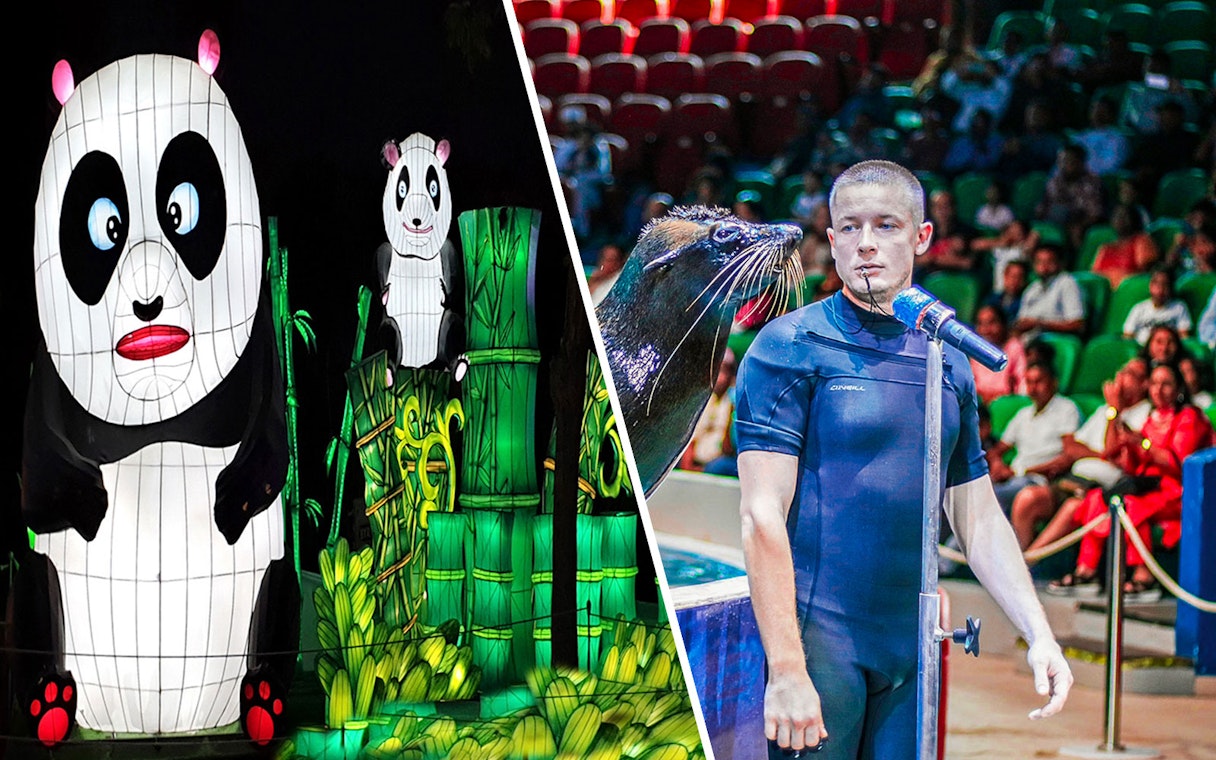 Panda lantern display and sea lion show at a tourist attraction.