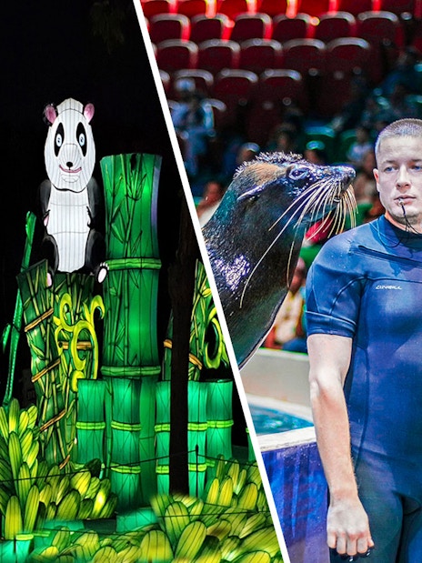 Panda lantern display and sea lion show at a tourist attraction.