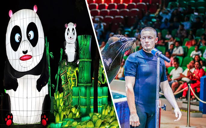 Panda lantern display and sea lion show at a tourist attraction.