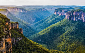 Grose Valley landscape with lush green cliffs in the afternoon light.