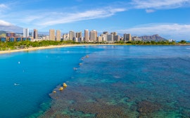 Korallrev och tropiska fiskar