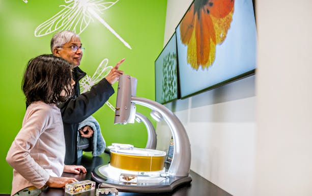 Visitors exploring interactive exhibit at Fernbank Museum of Natural History.