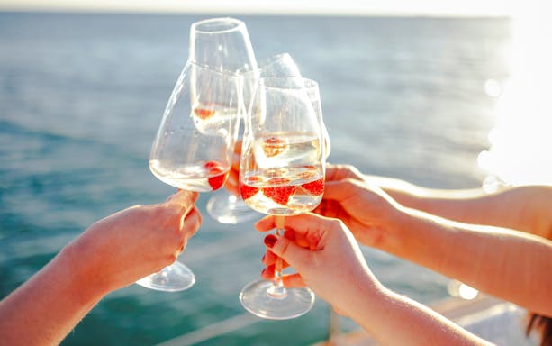Toasting with wine glasses on a cruise ship deck.