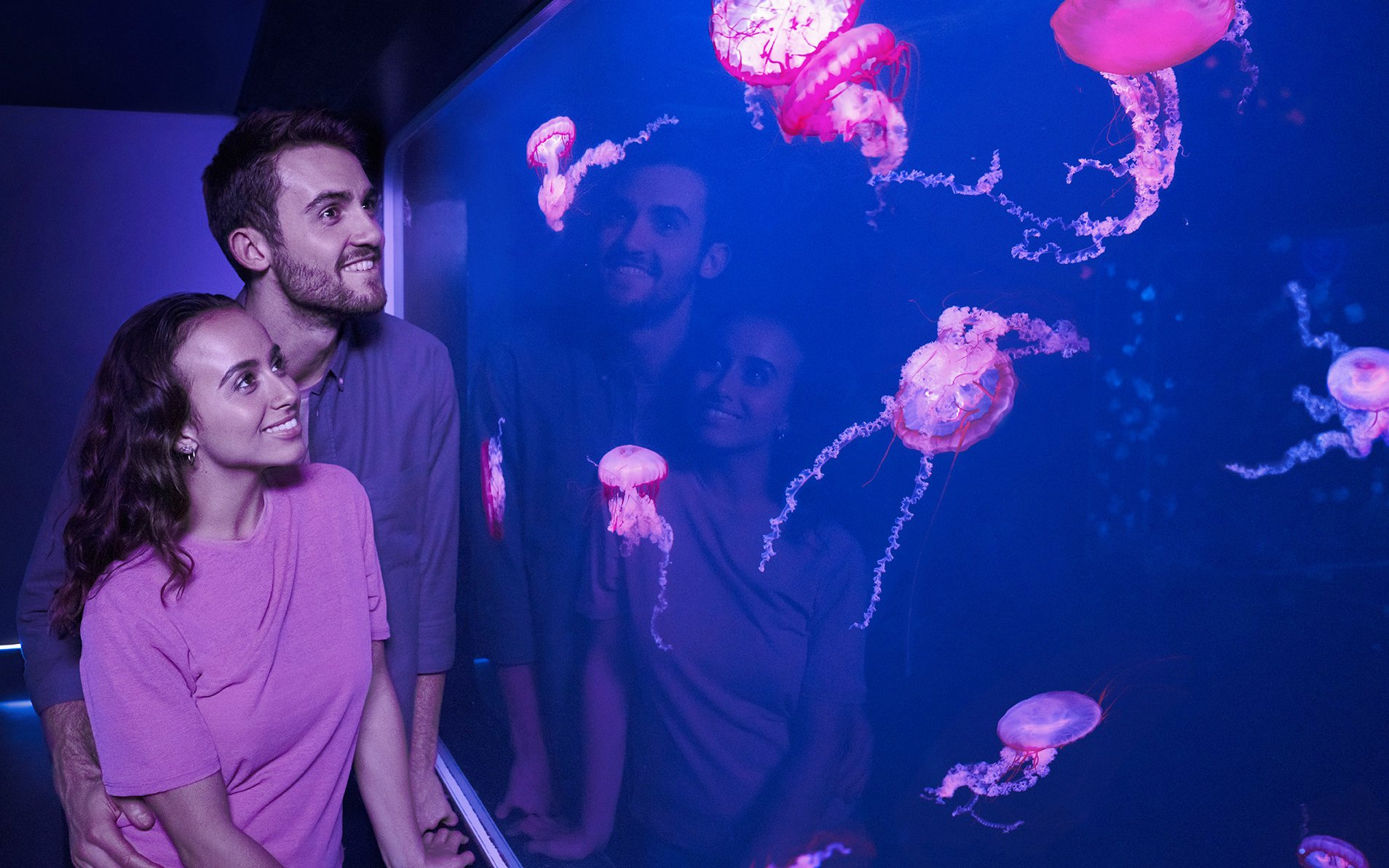 Visitors observing jellyfish at Sea Life London aquarium.